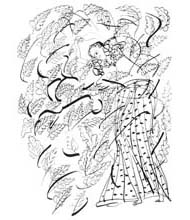 Medium: 'Chinese Ink on Paper', Size:'31 x 23 cm'